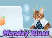 a cat wearing a tie is sitting in front of a laptop with the words monday blues below it