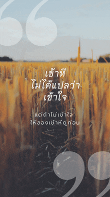 a picture of a field with a quote in the upper right corner