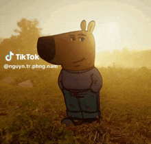 a cartoon character is standing in a grassy field with a tiktok watermark