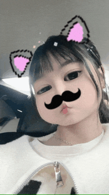 a little girl with a fake mustache and cat ears on her head