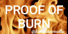 Proof Of Burn GIF - Proof Of Burn GIFs