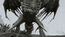 a black and white drawing of a dragon with a skeleton on its back