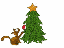 Christmas Tree Cat GIF - Christmas Tree Cat GIFs