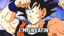 Sweatin Goku GIF - Sweatin Goku Dragon Ball Z GIFs