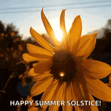 Sun Flower Summer Solstice GIF - Sun Flower Summer Solstice Happy Summer Solstice GIFs