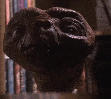 a close up of a statue with a bookshelf in the background that says encyclopedia on it