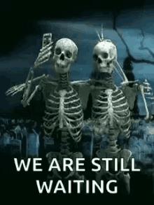 Amigos Selfie GIF - Amigos Selfie Skeleton GIFs