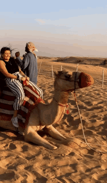 desert dubai camel ride happy