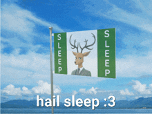 Hail Sleep Flag GIF