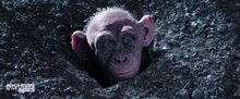 Planet Of The Apes Bad Ape GIF