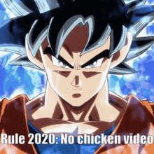 Rule 2020 Goku Rules GIF - Rule 2020 Goku Rules Goku GIFs