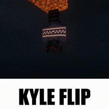 a picture of a minecraft character with kyle flip written on the bottom