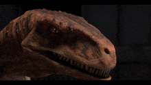 a close up of a dinosaur 's face with sharp teeth