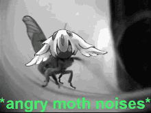 Angry Moth Noises GIF - Angry Moth Noises GIFs