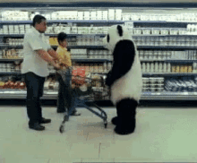 Panda Commercial Grovery GIF