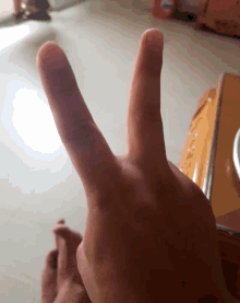 Ok Peace GIF - Ok Peace Two Fingers GIFs