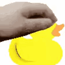 Duckpet Pet Duck GIF - Duckpet Pet Duck Pet GIFs