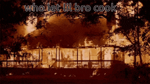 Who Let Bro Cook GIF - Who Let Bro Cook GIFs