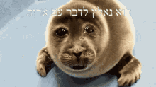 a seal with hebrew writing on it