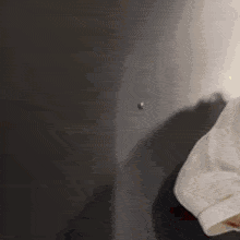 a person in a white shirt is standing in front of a wall with a shadow on it .