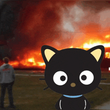a black cat is standing in front of a fire