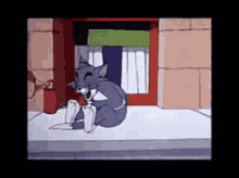 Tom And Jerry Funny GIF - Tom And Jerry Tom Funny GIFs