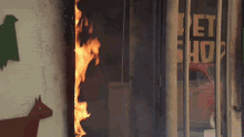 Funny Fire GIF - Funny Fire Snakes GIFs
