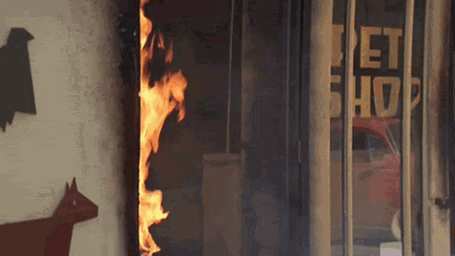 Funny Fire GIF - Funny Fire Snakes GIFs