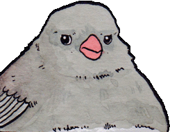 Interrupted Bird Grey Sticker - Interrupted Bird Grey Annoyed Bird Meme Stickers