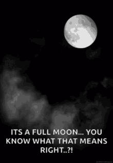 Its A Full Moon You Know What That Means Right GIF