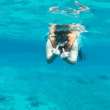 Middlefinger Snorkel GIF - Middlefinger Snorkel GIFs