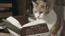 cats books reading