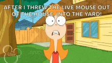 Candace Live Mouse GIF - Candace Live Mouse Phineas And Ferb GIFs