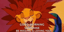 Simba Lion King GIF - Simba Lion King Disney GIFs