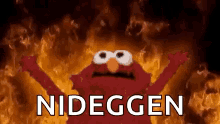 Elmo Nideggen GIF - Elmo Nideggen GIFs