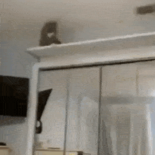 a sonic the hedgehog balloon is sitting on top of a shelf in a kitchen .