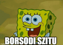 Borsodiszitu GIF - Borsodiszitu GIFs