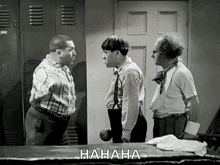 Three Stooges Larry GIF - Three Stooges Larry Curly GIFs