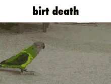 bird birds birt death sad