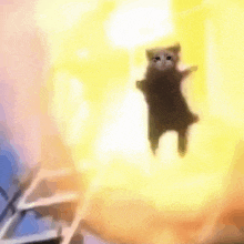 a crying cat is flying through the air in front of a huge explosion .