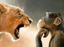 a lion and a chimpanzee are looking at each other with a monkey holding its hand to its chin .