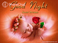 Good Night Sweet Dreams GIF - Good Night Sweet Dreams Baby GIFs