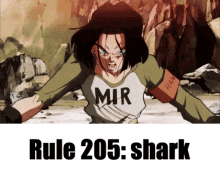rule205