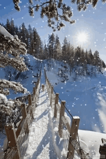 Snowfall Bridge GIF - Snowfall Bridge Tree GIFs
