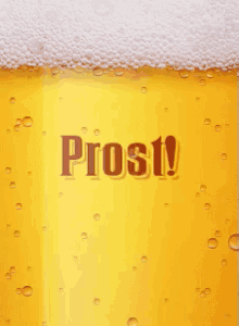 Prost! - Bier GIF - Bier Prost Sprudeln GIFs