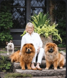 Photo Bomb Chow Chow GIF - Photo Bomb Chow Chow Left Out GIFs
