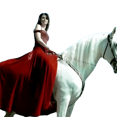 Riding A Horse Shania Twain Sticker - Riding A Horse Shania Twain Dont Stickers