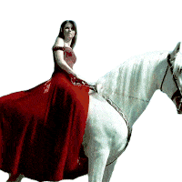 Riding A Horse Shania Twain Sticker - Riding A Horse Shania Twain Dont Stickers