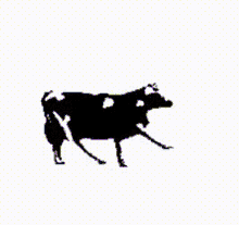 Cow Dancing GIF - Cow Dancing Polishcow GIFs