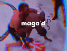Magomedov Tiger GIF - Magomedov Magomed Tiger GIFs